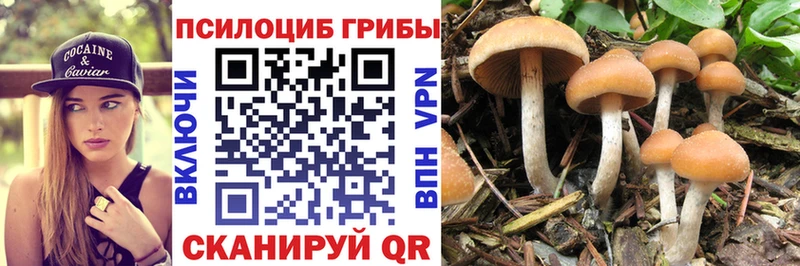наркотики  маркетплейс телеграм  Галлюциногенные грибы мухоморы  Ясногорск 