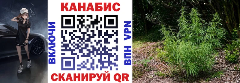 Канабис семена Ясногорск